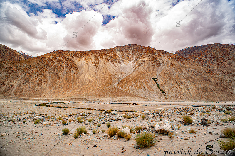 Image 13